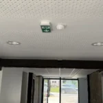 1000_500_2_img-2467jpg-1