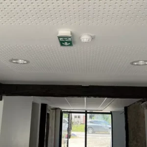 1000_500_2_img-2467jpg-1